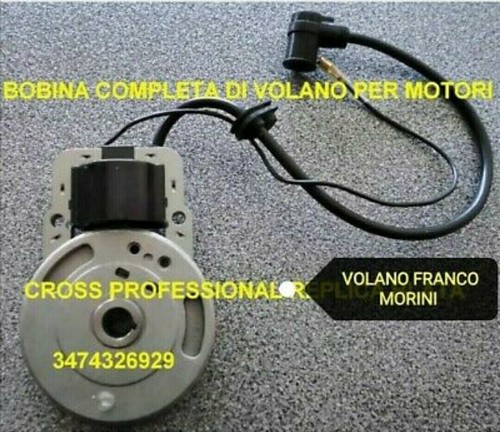 Volano bobina accensione - volano,