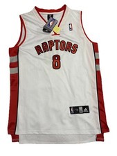 Jose Calderon Toronto Raptors