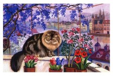 Fluffy CAT View of the Neva