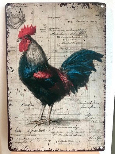 Targa decorativa metallo - decorativa,
