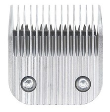 (TG. 4,8x5x1,5 cm) Moser Testa