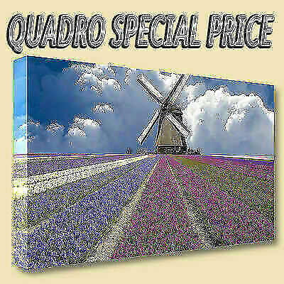 Quadri moderni tela 30x50 - quadri,