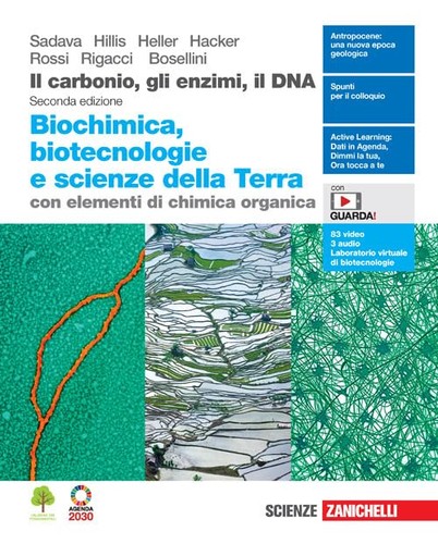 Carbonio gli enzimi il - carbonio,,