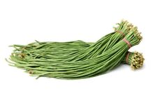 Metro Rouge - fagiolo al metro