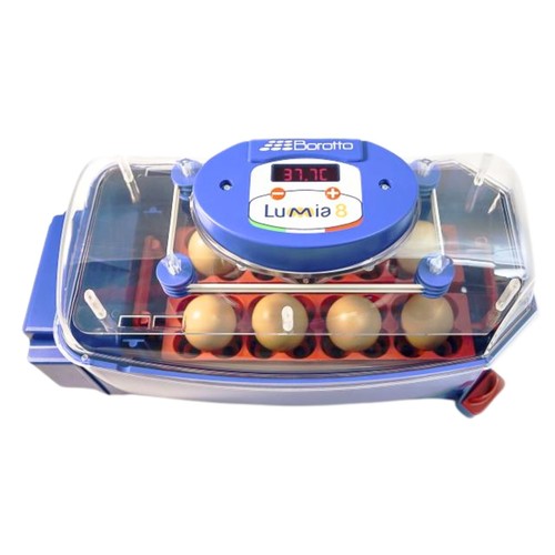 Incubatrice automatica borotto - incubatrice,