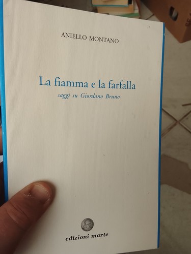 Fiamma la farfalla - e,