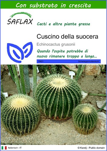 Saflax cuscino della - saflax,
