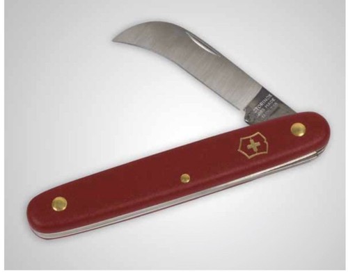 39050 coltello innesto - innesto, a