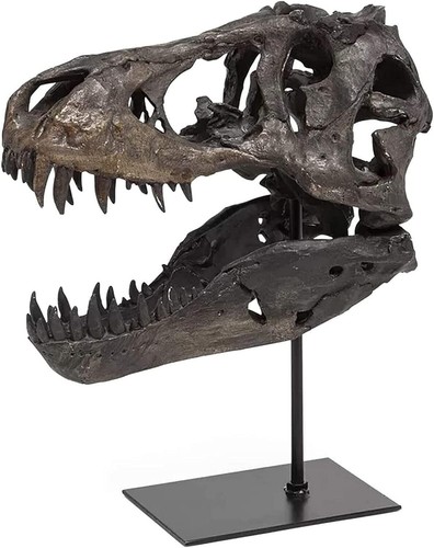 Jotnbobo statua del cranio - del,