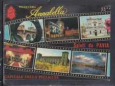 Cartolina Saluti da Pavia Pellicceria Annabella VEDUTINE CF871