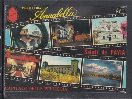 Cartolina saluti pavia - saluti,