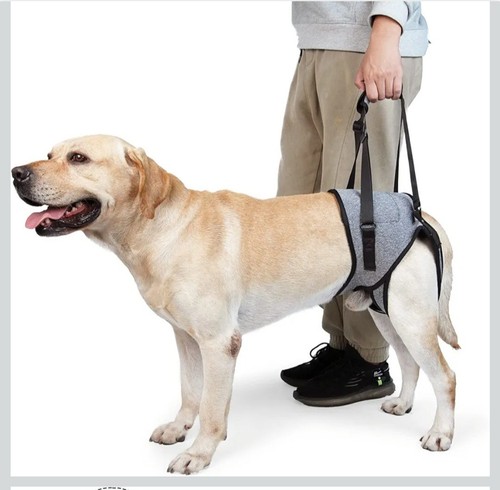 Imbracatura sollevamento cani - imbracatura,