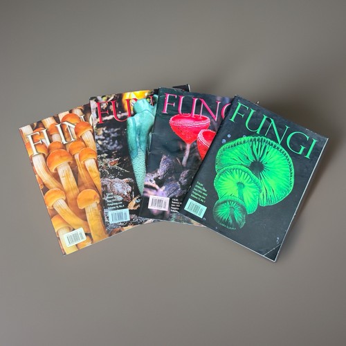 Fungi magazine lot 2023 2024 - magazine, 4