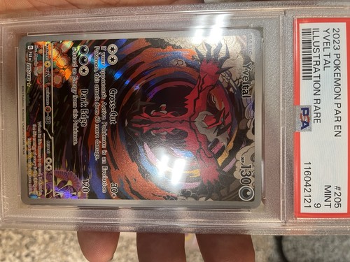 Pokemon 2023 tcg - pokemon,