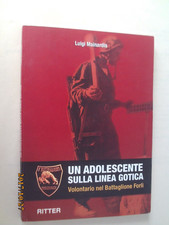 Luigi Mainardis Un adolescente