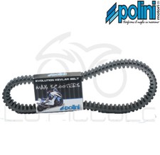 Transmission Belt Polini