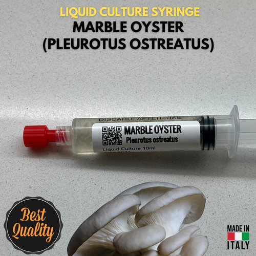 Coltura liquida marble - marble, oyster