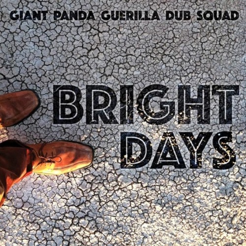 Giant panda guerilla bright - panda,
