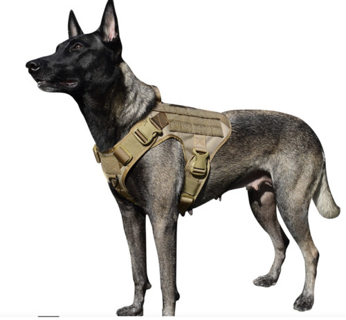 Pettorina tattica per cani - per,