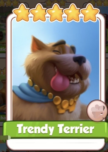 Trendy terrier georgia - x1,