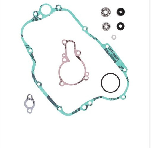 Kawasaki 125 kit revisione - kx,