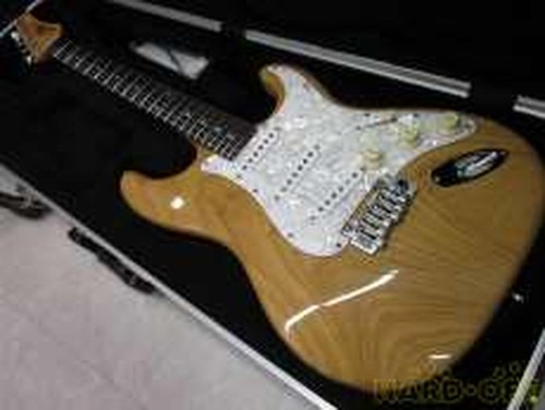 Washburn chitarra elettrica - ls,