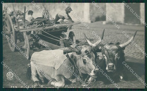Roma castelli romani carro con - roma,