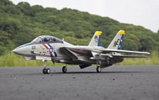 Freewing tomcat versione - 14,