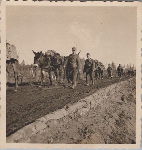 Foto wehrmacht fronte - foto,,
