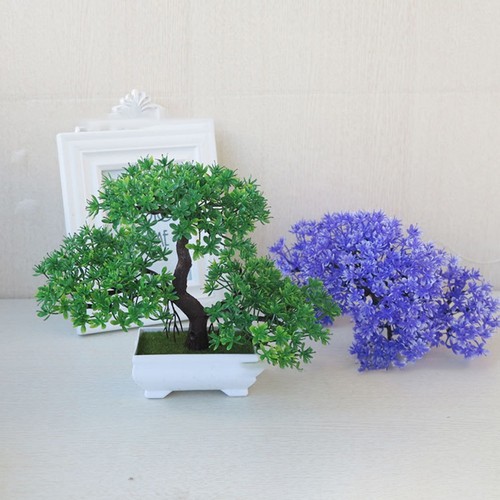 Bonsai artificiale cedro - bonsai,