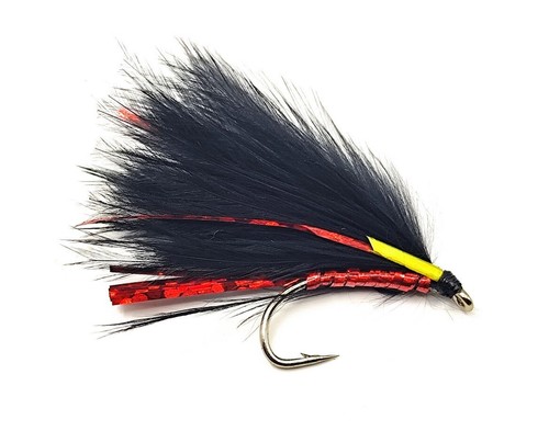 Cormorano mosche umide - 3,