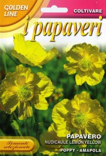 Semi seeds papavero nudicaule - semi/seeds,