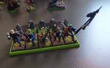 Warhammer  Vampire Counts - Zombie Regiment  10units