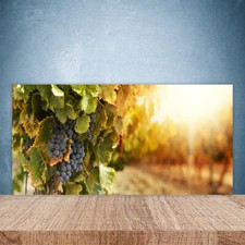 Paraschizzi da Cucina 100x50