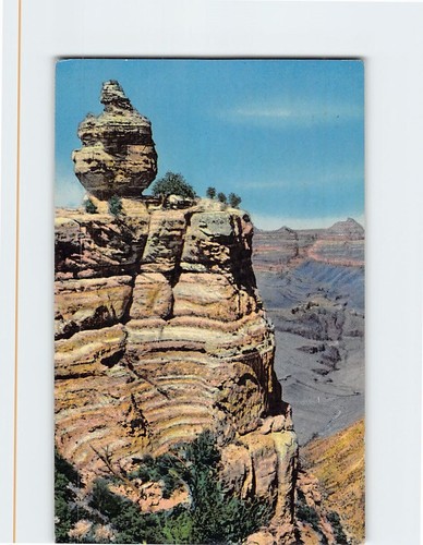 Cartolina anatra sulla roccia - sulla,