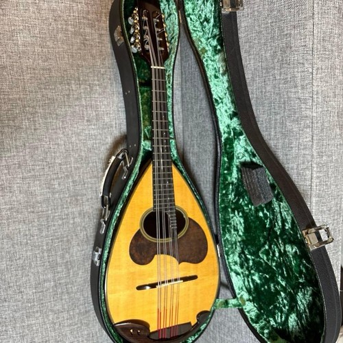 Suzuki mandola con - suzuki,