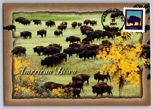 3468 bisonte fdc maxi - #3468,