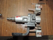 CANNA DELLO STERZO (PIANTONE)