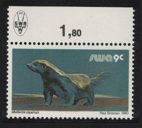 Carta gesso animali selvatici