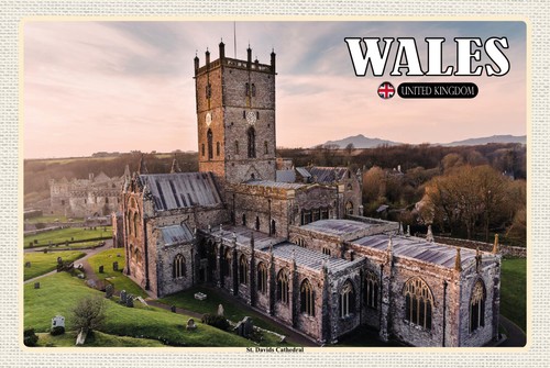 Blechschild 20x30 wales united - 20x30,