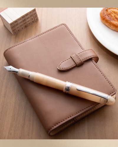 Penna stilografica nagasawa - stilografica,