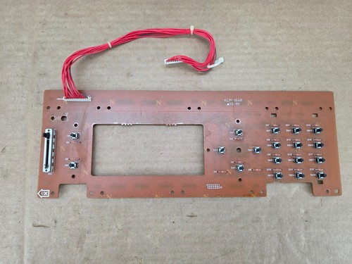 Korg scheda interruttore - korg, x2