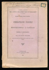 Cheloniani fossili di