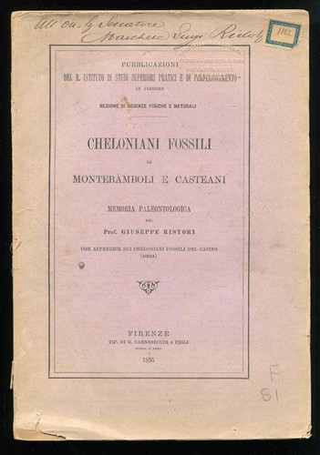 Cheloniani fossili - , di