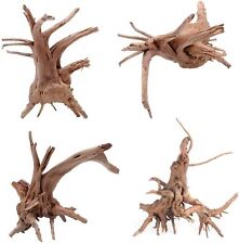 Radice per acquario. Spider