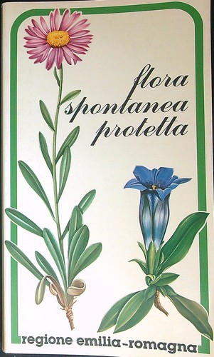 Flora spontanea protetta - spontanea,