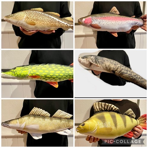 Peluche pesce peluche animale