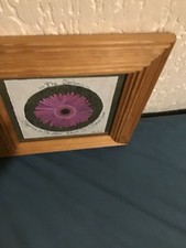 una stampa incorniciata rovere