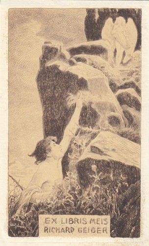 Exlibris acquaforte richard - acquaforte,