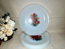 ANNI 70 ARCOPAL FRANCE SERIE